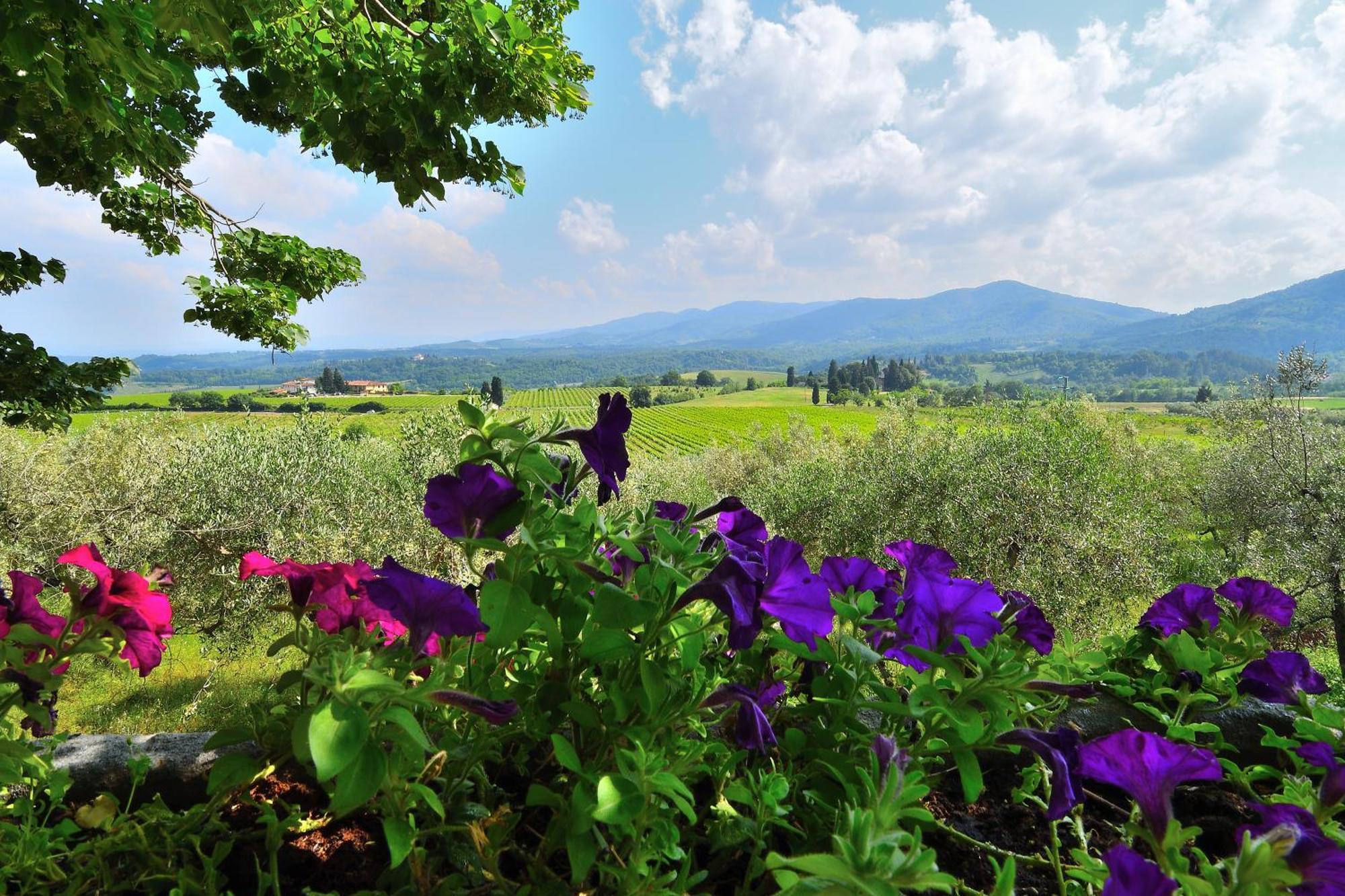 Villa Il Frassine Rignano Sull Arno Bagian luar foto